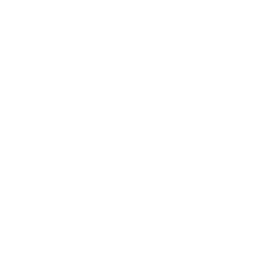 Action Plan Outline